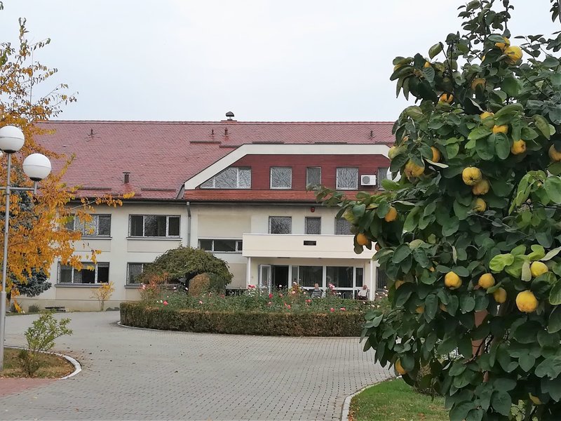 Caminul de Batrani Sf Maria - Ilfov